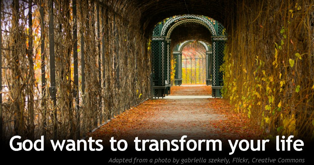 transform-your-life